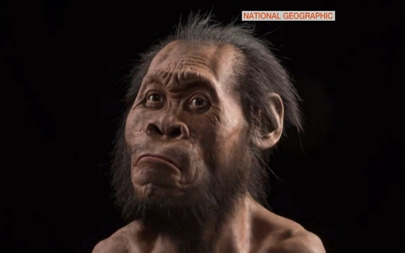 New human ancestor unveiled
